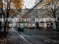 柚子影视句子体检：看证据够用吗，做把证据列出来，就够了