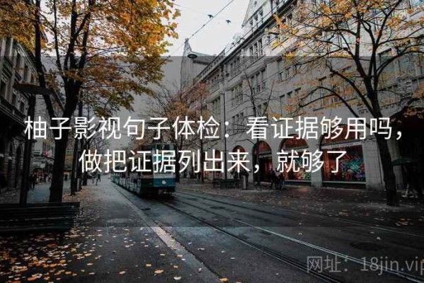 柚子影视句子体检：看证据够用吗，做把证据列出来，就够了